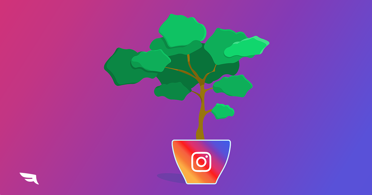 instagram-organic-reach